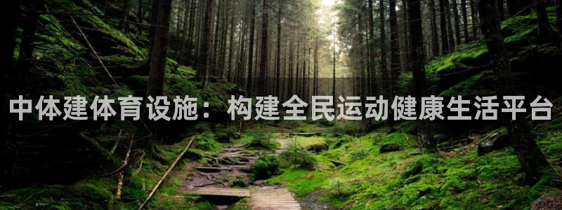意昂体育4开户：中体建体育设施：构建全民运动健康生活