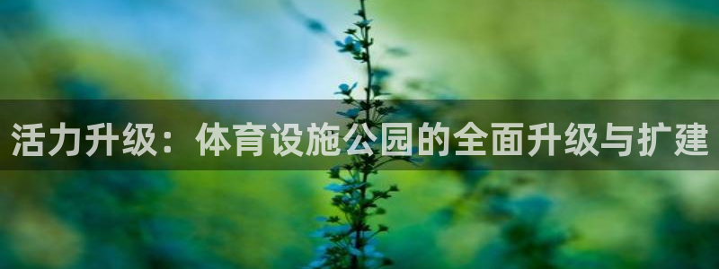 意昂4科技：活力升级：体育设施公园的全面升级与扩建