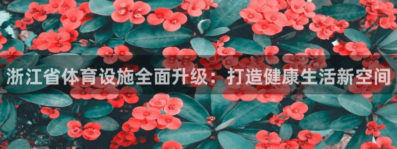 意昂4五金厂：浙江省体育设施全面升级：打造健康生活新