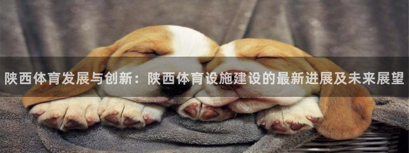 海南意昂体育4：陕西体育发展与创新：陕西体育设施建设