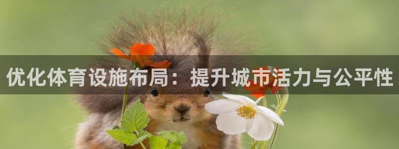 意昂体育4招商：优化体育设施布局：提升城市活力与公平