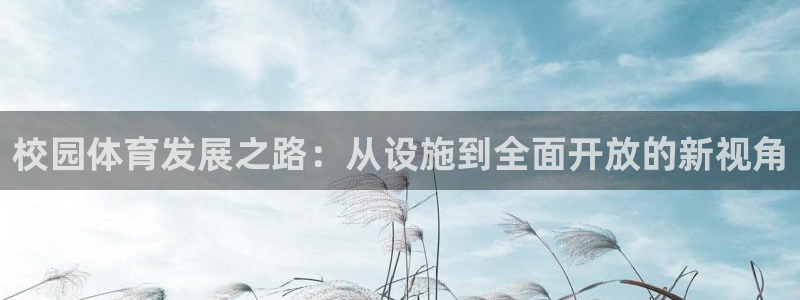 意昂体育4招商电话号码：校园体育发展之路：从设施到全面开放的
