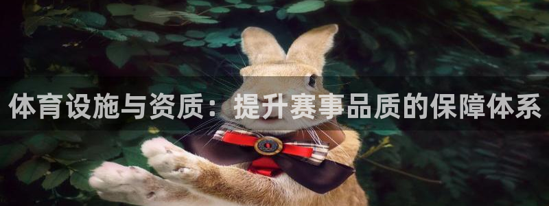 意昂体育4平台APP：体育设施与资质：提升赛事品质的保障体系