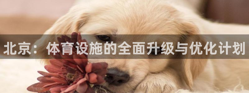 意昂4集团：北京：体育设施的全面升级与优化计划