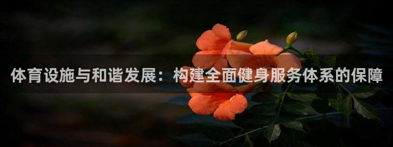 意昂4新能源：体育设施与和谐发展：构建全面健身服务体系的保障