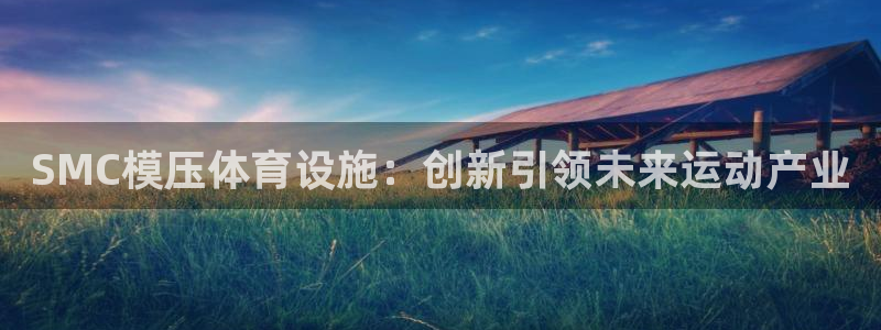 意昂体育4娱乐：SMC模压体育设施：创新引领未来运动产业
