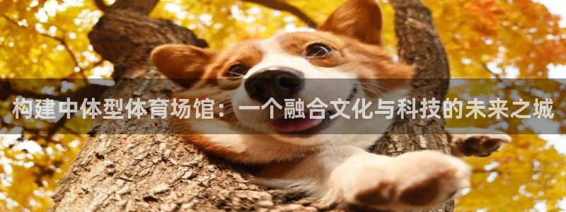 意昂集团官网：构建中体型体育场馆：一个融合文化与科技的未来之