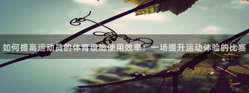 海南意昂体育4：如何提高运动员的体育设施使用效率：一场提升运
