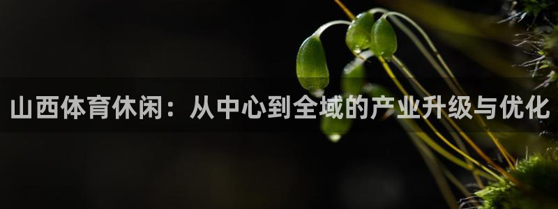 意昂体育4招商电话是多少啊：山西体育休闲：从中心到全域的产业
