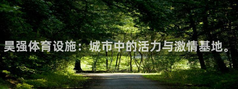 意昂体育4软件：昊强体育设施：城市中的活力与激情基地。 